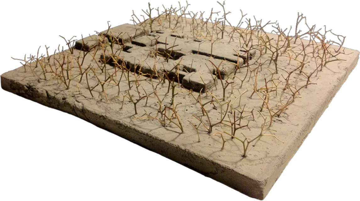 Conoce las maquetas que hemos desarrollado durante estos 14 años, para proyectos industriales, prototipo, plan maestro, concurso, estudio o taller, servicio a todo México. 